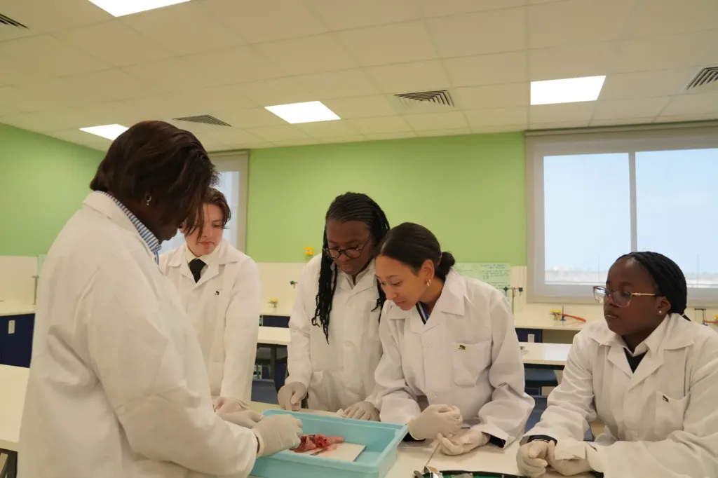 Key Stage 5 (Sixth Form) | Rugby School Nigeria Five people in lab coats and gloves gather around a blue tray with samples in a bright science classroom, appearing to conduct a laboratory experiment together as part of their Key Stage 5 Sixth Form studies.